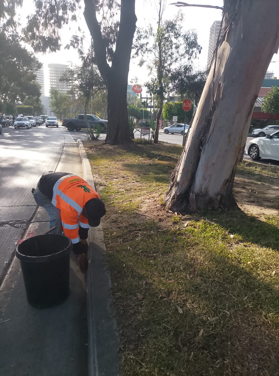 Trabajo de mantenimiento de áreas verdes SAHUARO