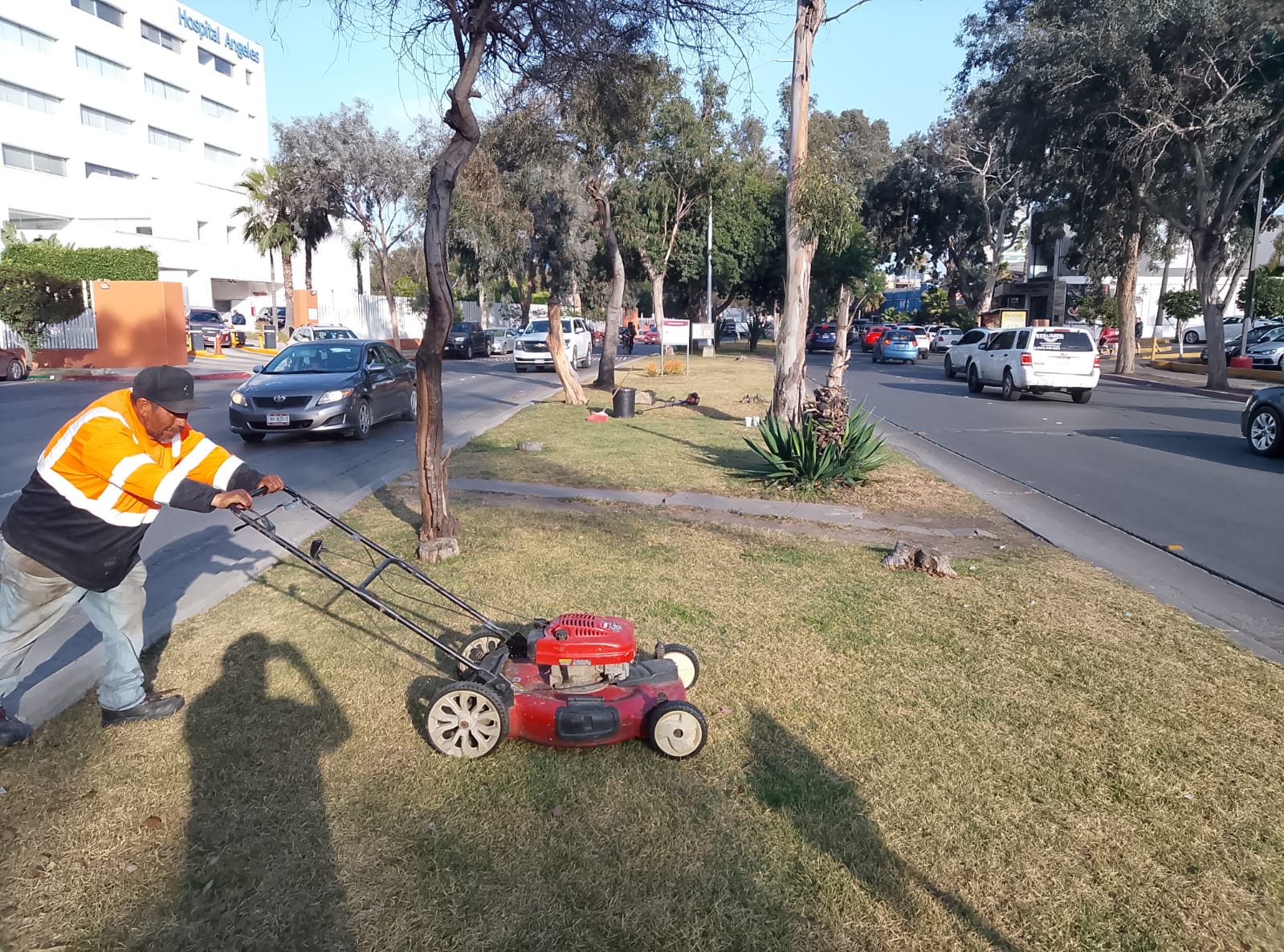 Trabajo de mantenimiento de áreas verdes SAHUARO