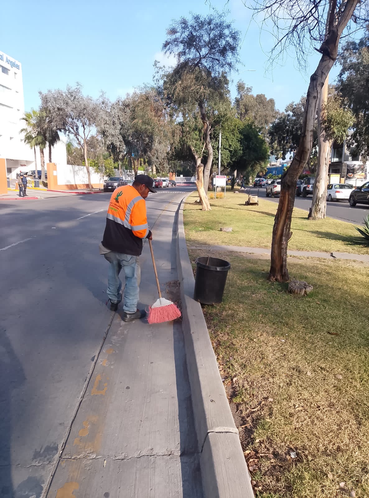 Trabajo de mantenimiento de áreas verdes SAHUARO