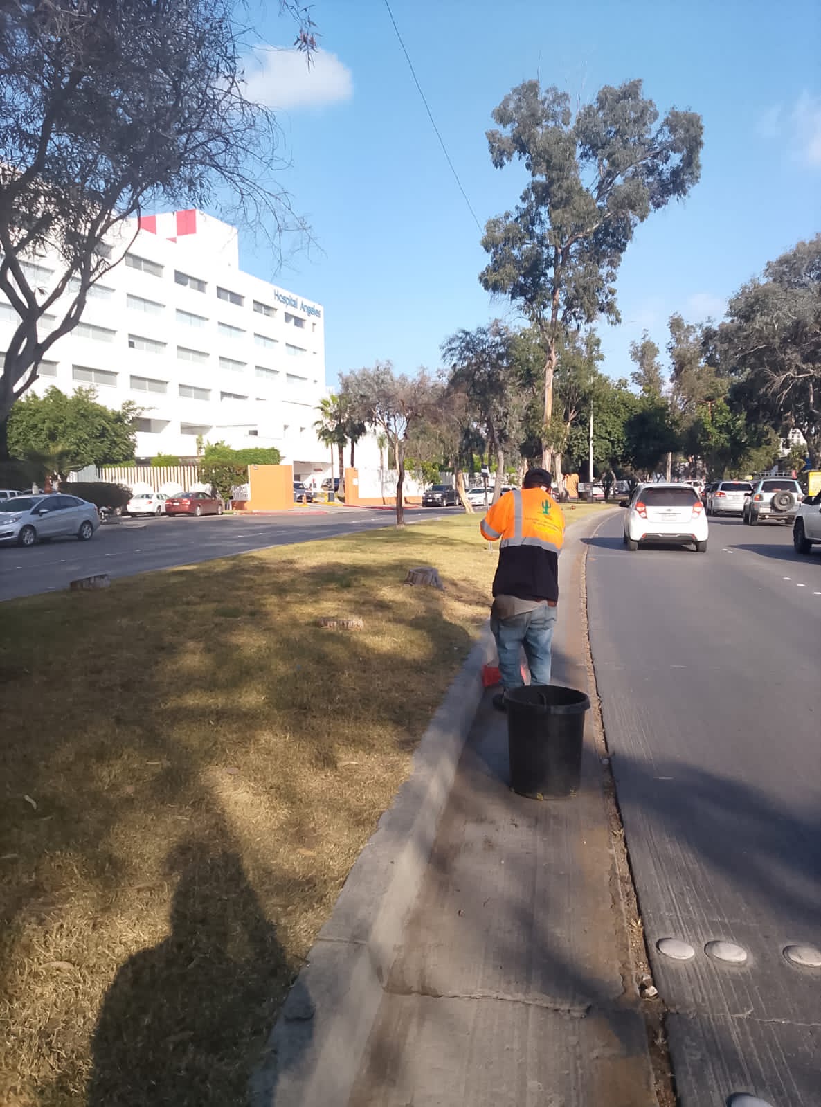 Trabajo de mantenimiento de áreas verdes SAHUARO