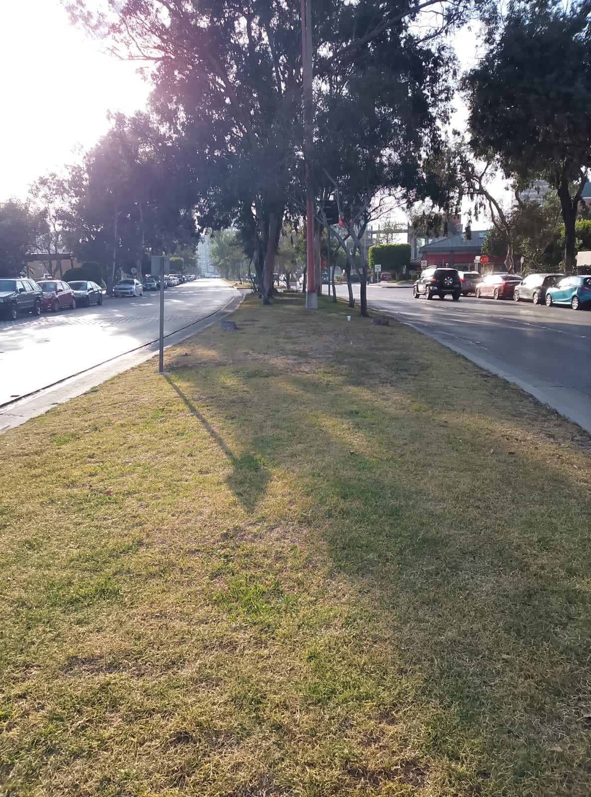 Trabajo de mantenimiento de áreas verdes SAHUARO
