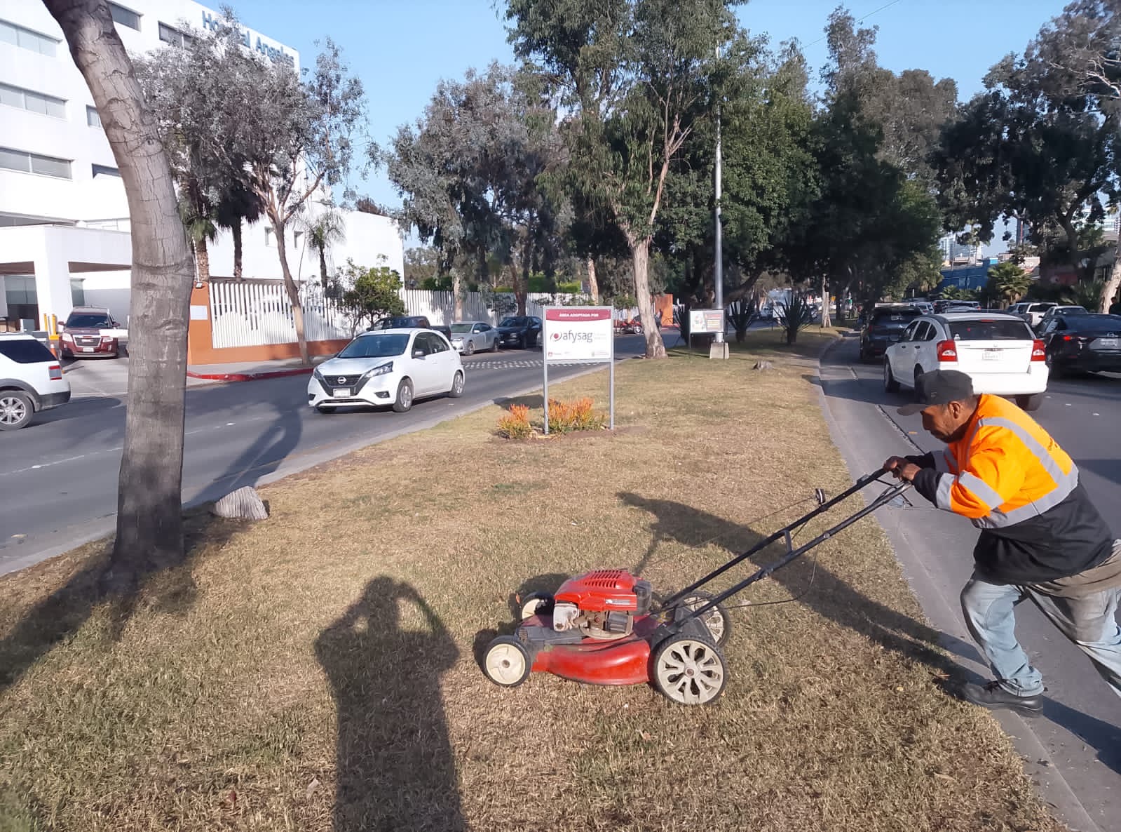 Trabajo de mantenimiento de áreas verdes SAHUARO