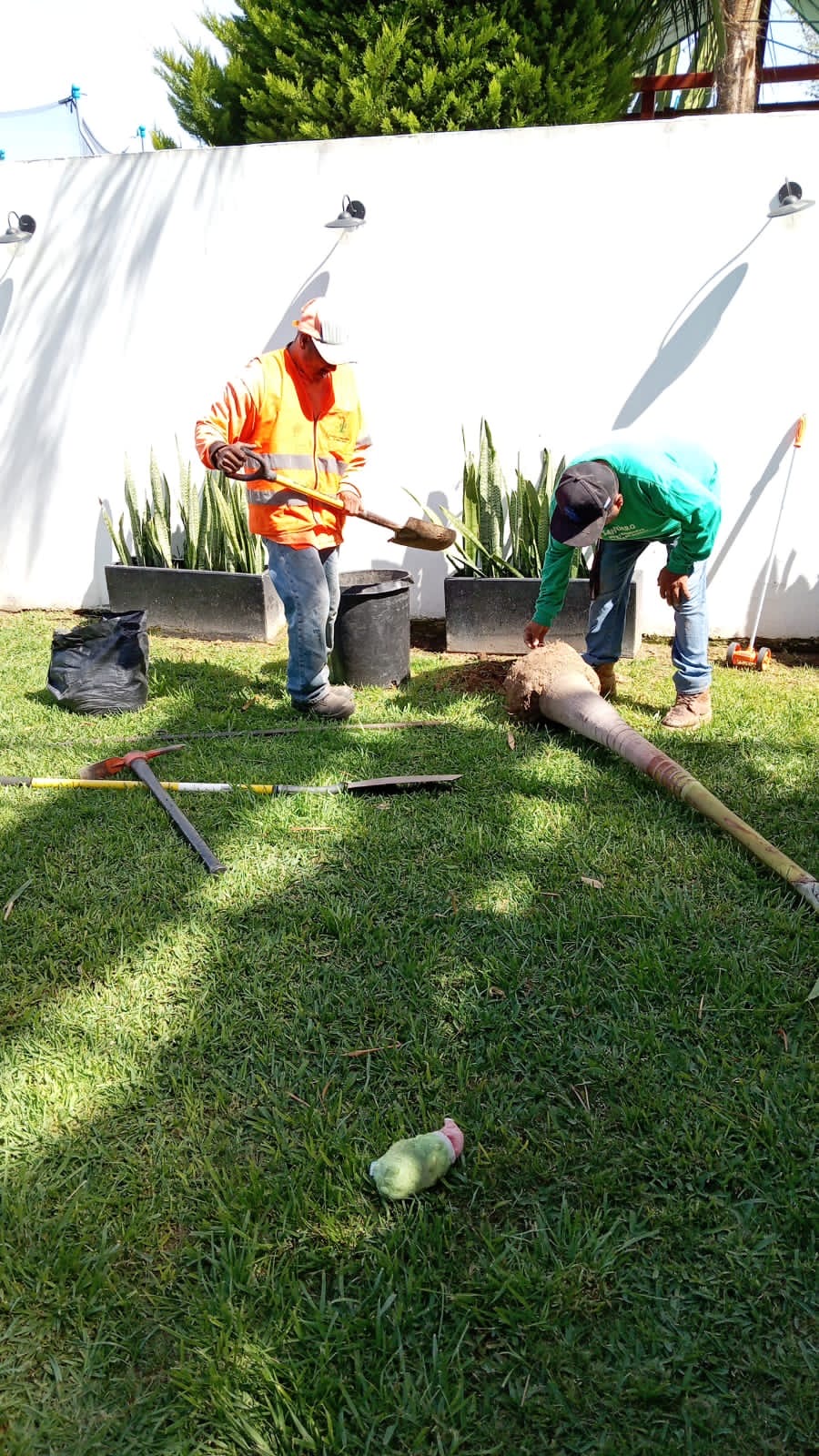 Trabajo de mantenimiento de áreas verdes SAHUARO