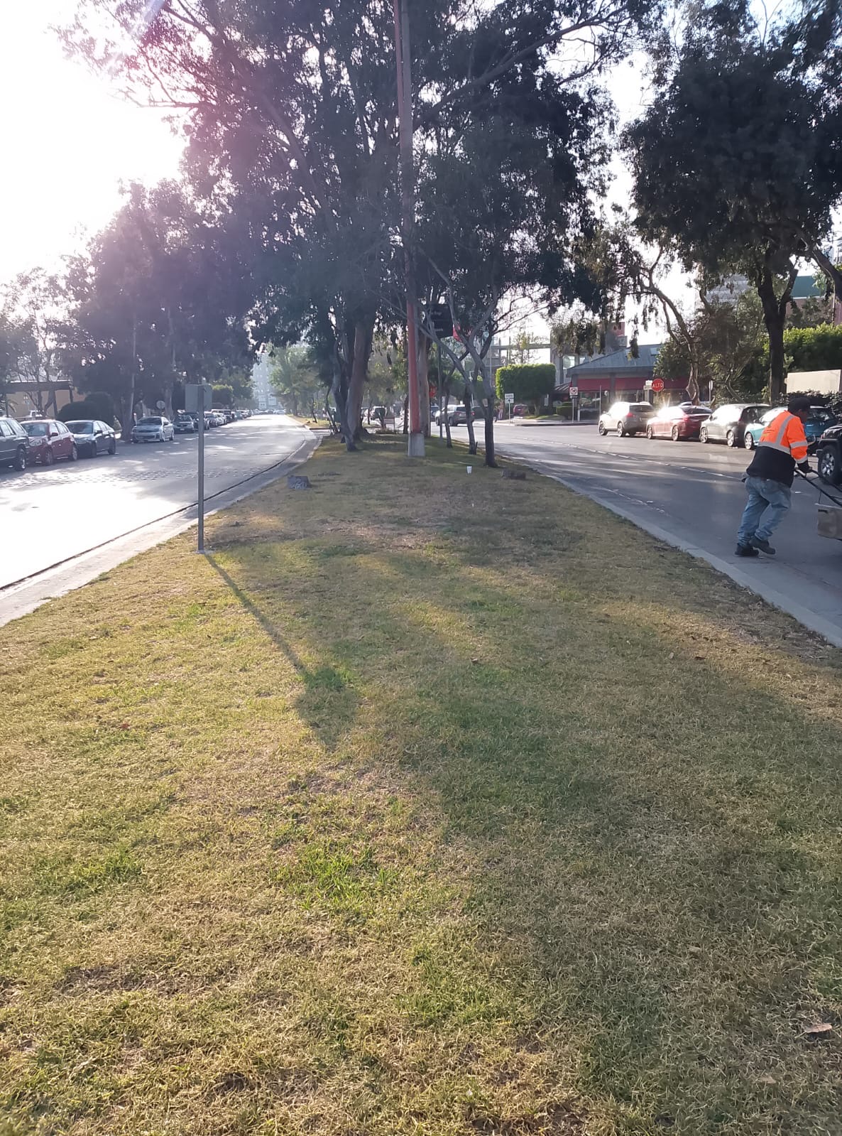 Trabajo de mantenimiento de áreas verdes SAHUARO